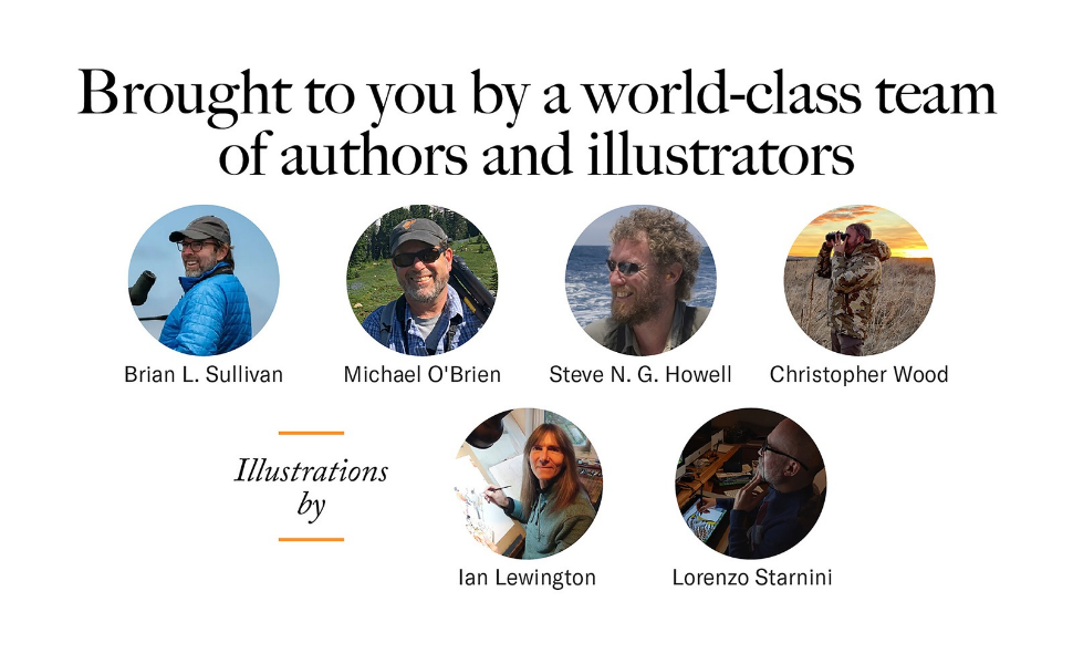 the bird guide authors
